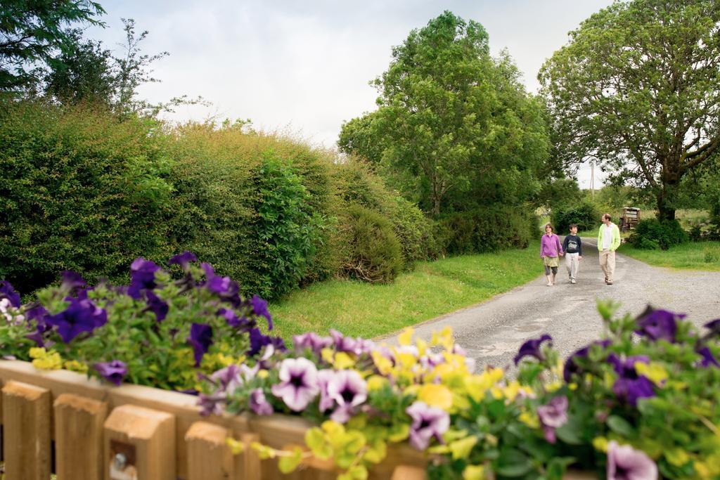Villa Burren Glamping Kilfenora Exterior foto